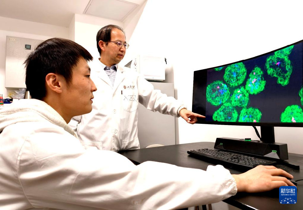 中國科學(xué)家創(chuàng)出蛋白靶向降解技術(shù)為“隱身”腫瘤細(xì)胞打上“身份標(biāo)簽”